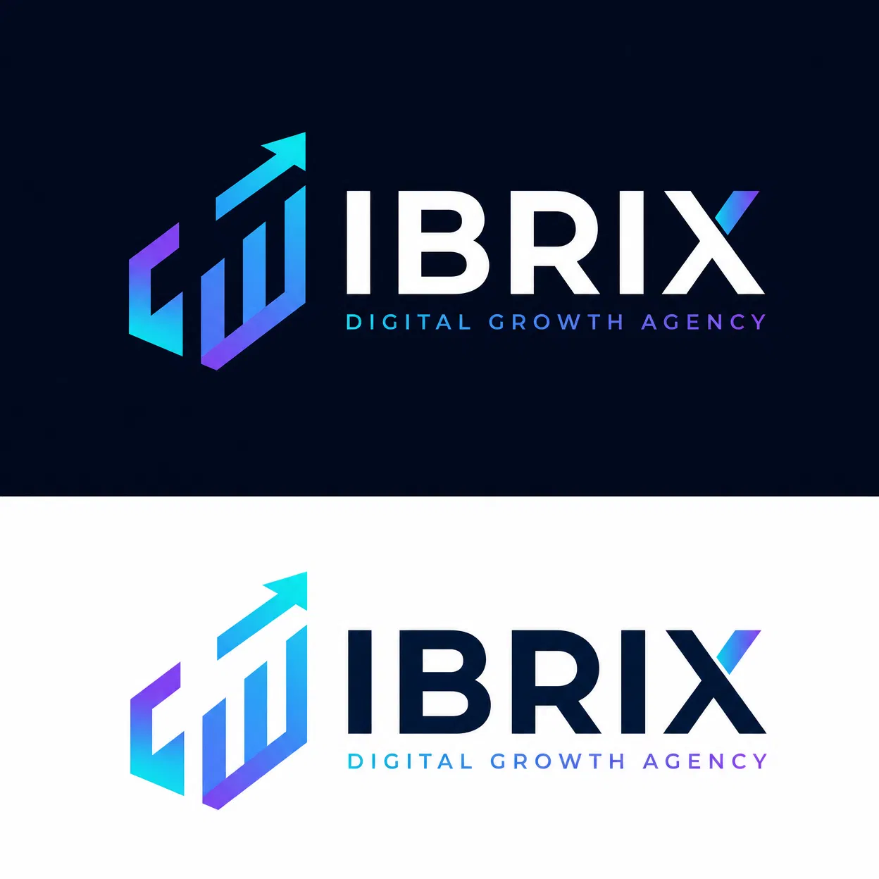 IBRIX Digital Growth Agency